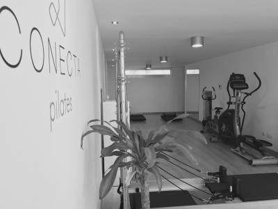 Pilates - Reformer Clases individuales