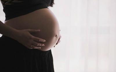 Embarazo y alimtancin