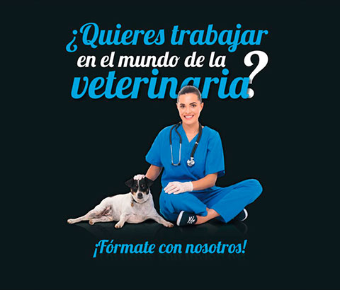 Cl�nica Veterinaria Alcazaba