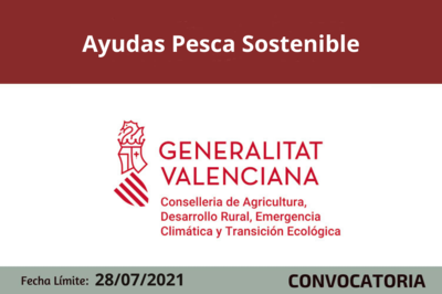 Bases de la Convocatoria