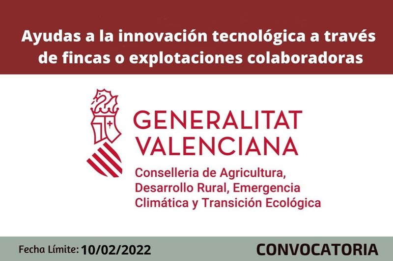 Ampliar imagen