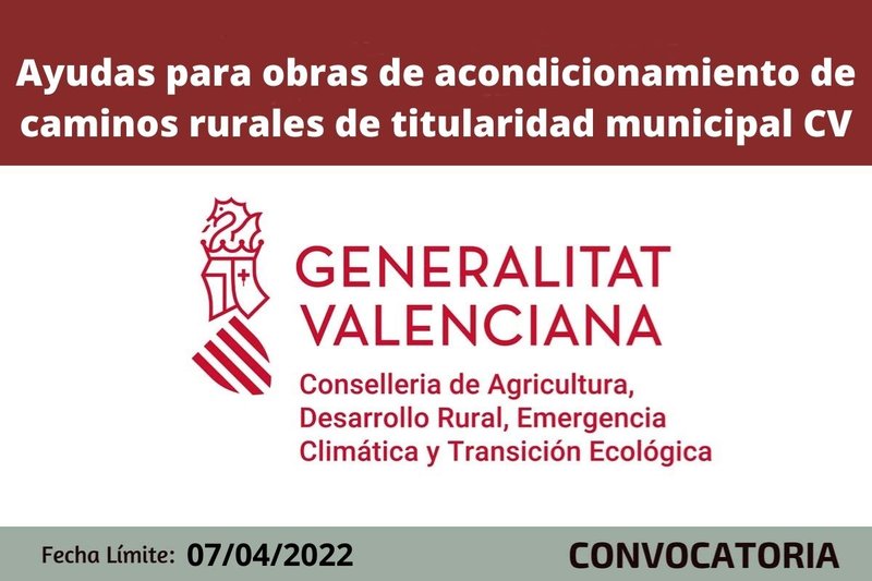 Ampliar imagen