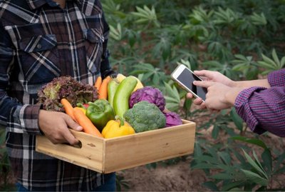 Preinscripcin al curso de "Gestin profesional para una PYME agroalimentaria de calidad diferenciada".