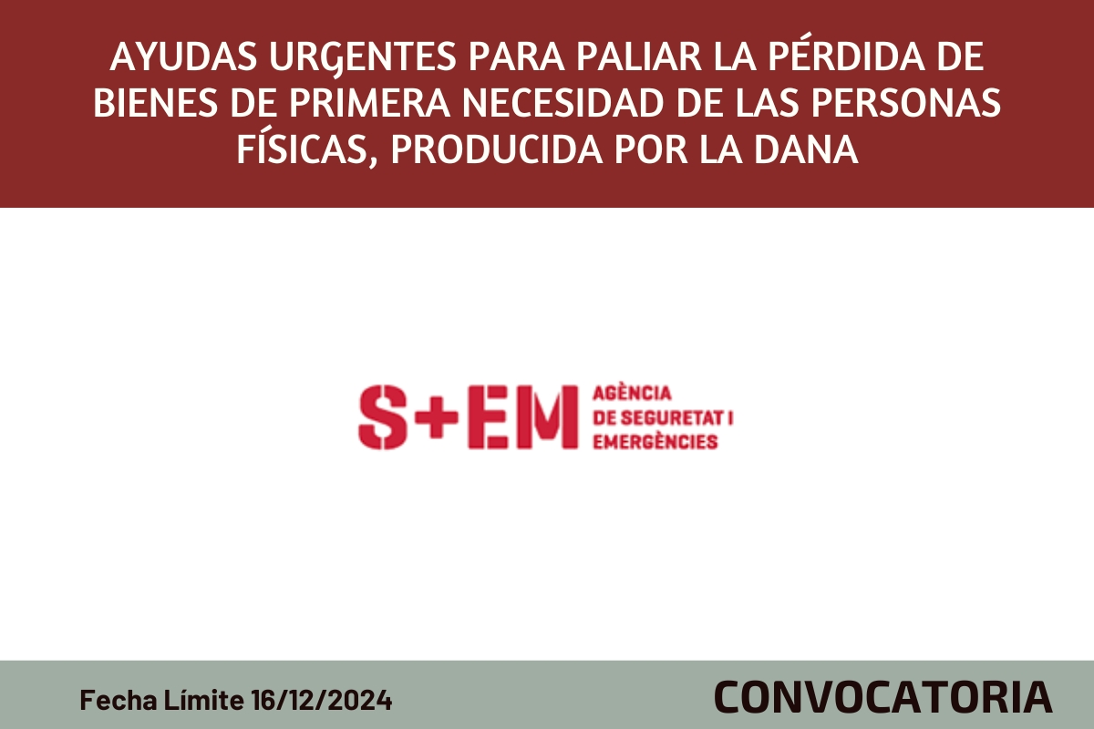 Ayudas urgentes para paliar la prdida de bienes de primera necesidad de las personas fsicas, producida por la DANA