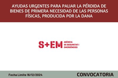 Ayudas urgentes para paliar la prdida de bienes de primera necesidad de las personas fsicas, producida por la DANA