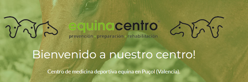 EQUINACENTRO VALENCIA SL