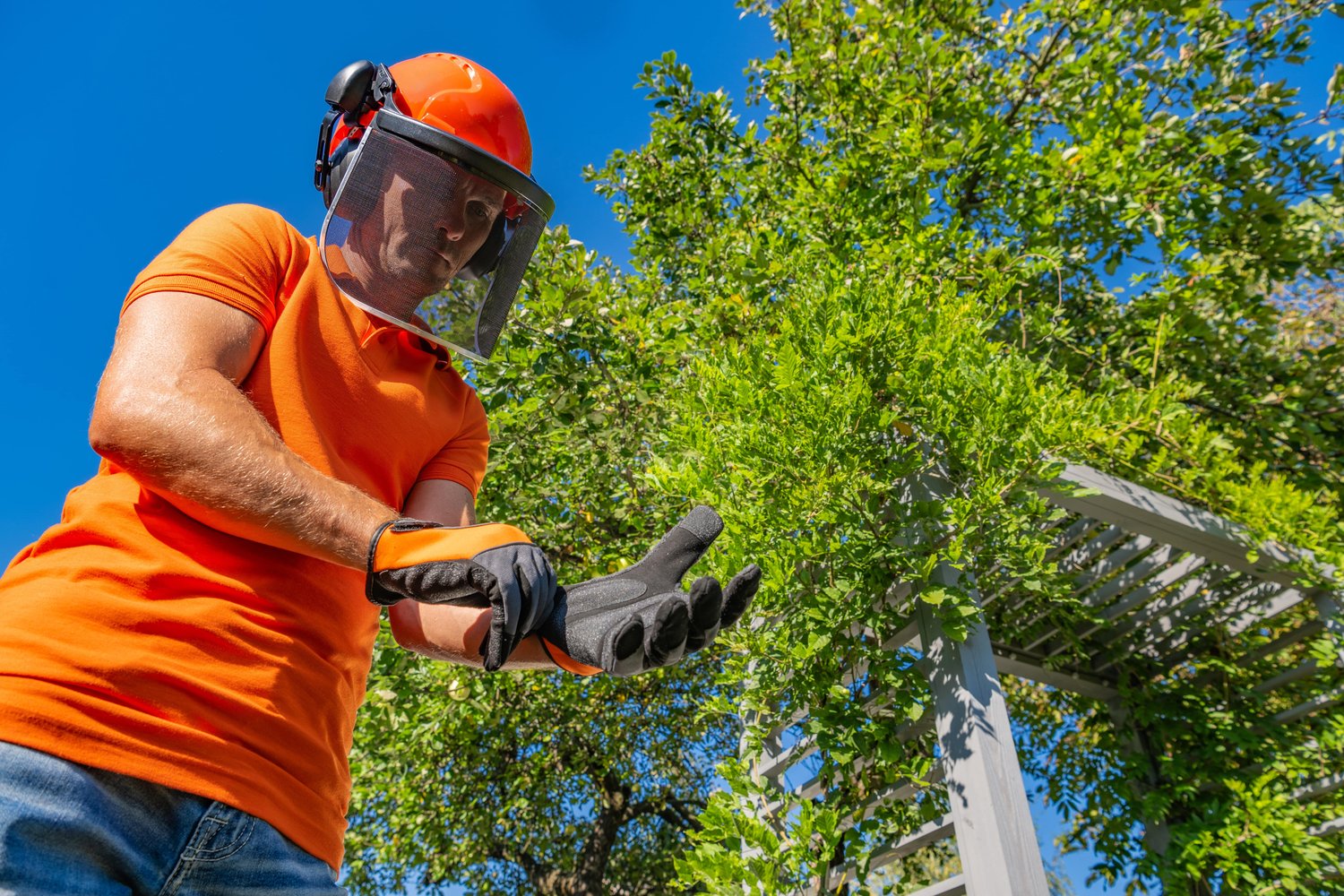 Tomas Jardinero Reus | Cesped Artificial | Mantenimiento y diseño de Jardines
