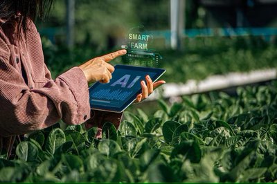 CURSO TELEPRESENCIAL DE GESTIN COMERCIAL Y MARKETING PARA EMPRESAS AGROALIMENTARIAS DE CALIDAD DIFERENCIADA