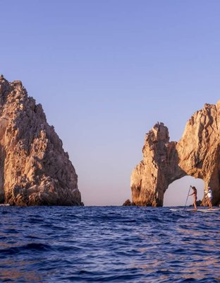 Cabo Boat Tours