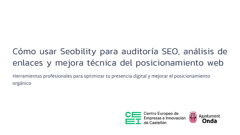 14_Cómo usar Seobility para auditoría SEO, análisis y posicionamiento