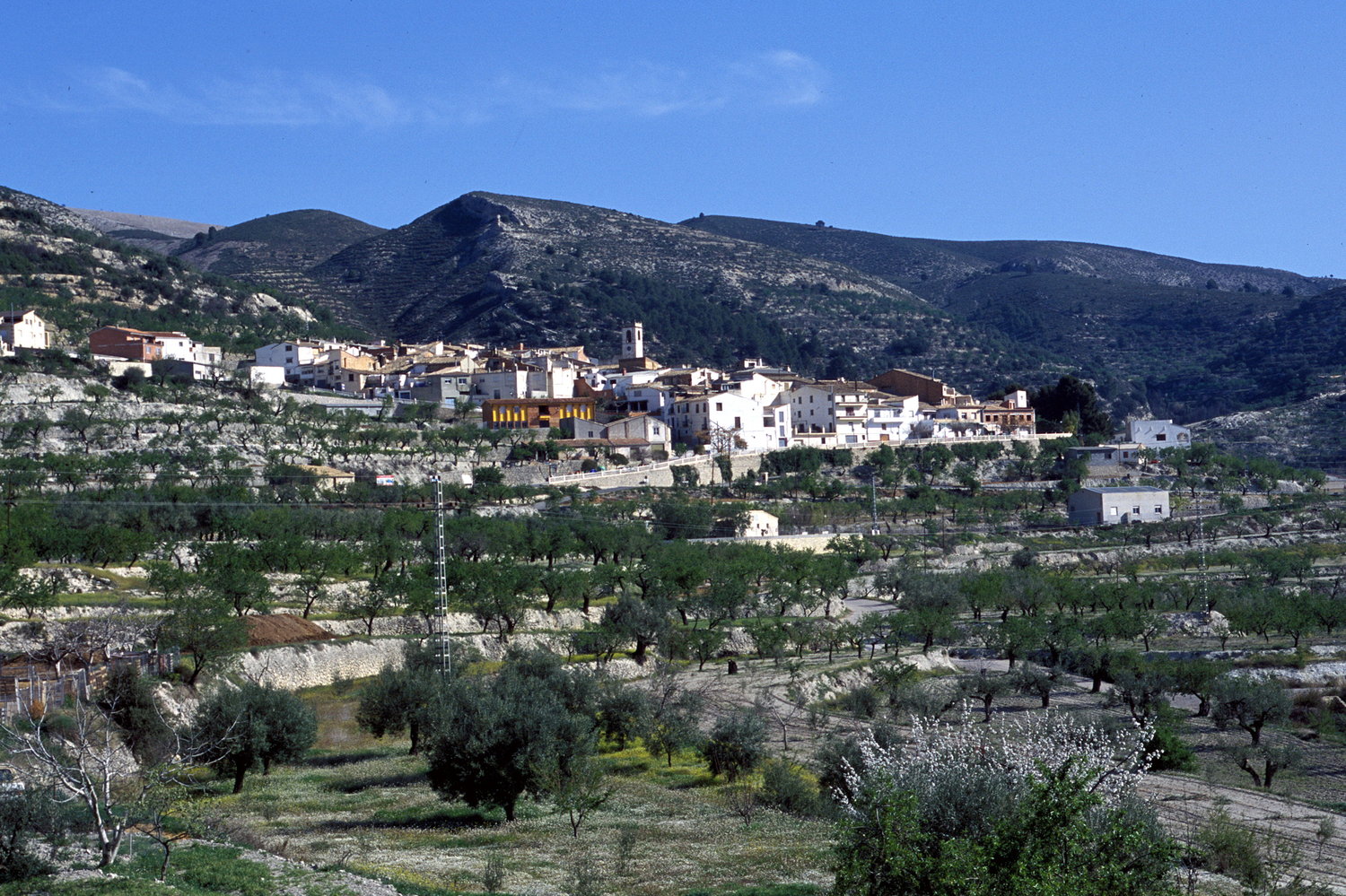 Ayuntamiento de Balones