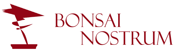 Bonsai Nostrum
