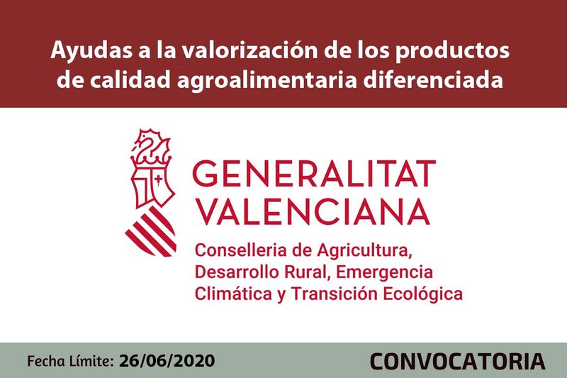 Ampliar imagen