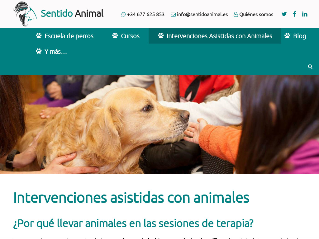 Intervenciones asistidas con animales | Terapia con perros