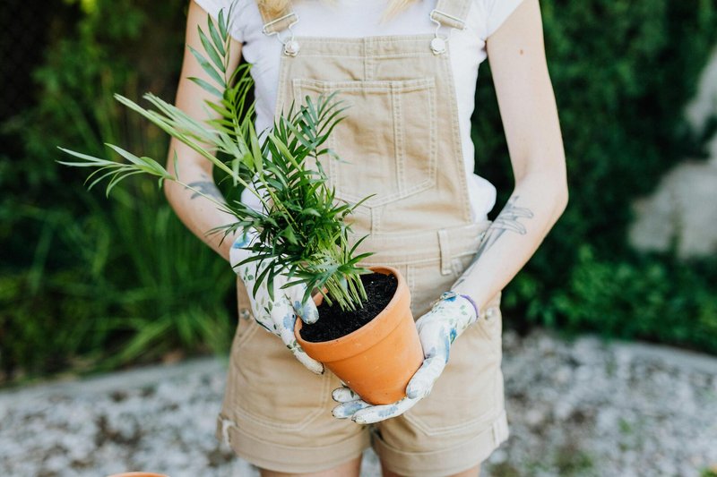 Indemnizan a una jardinera con 28.000 � por sufrir acoso laboral